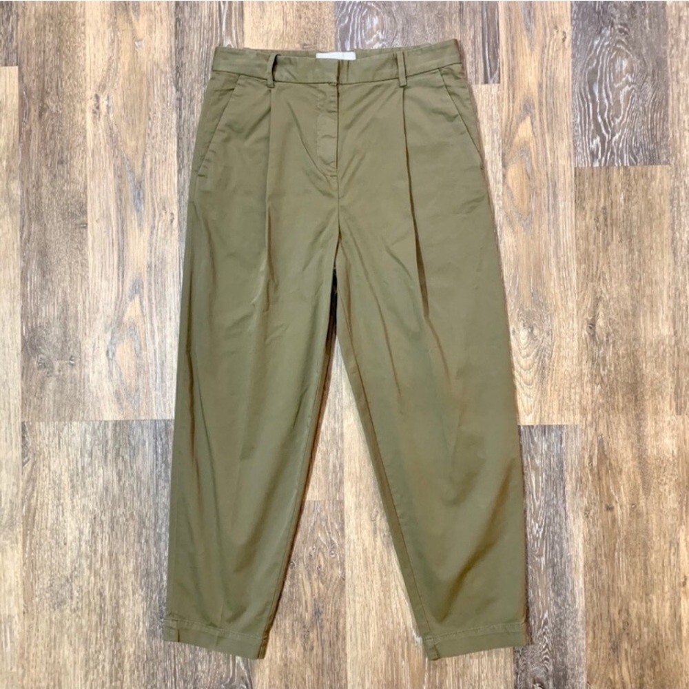 Everlane Pleated Slouchy Pants